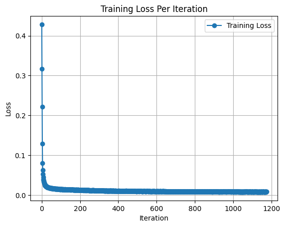 Training Loss Curve